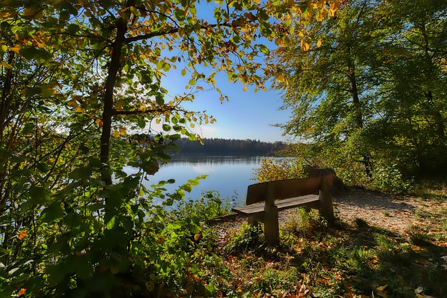 国王的防守 国王的防守