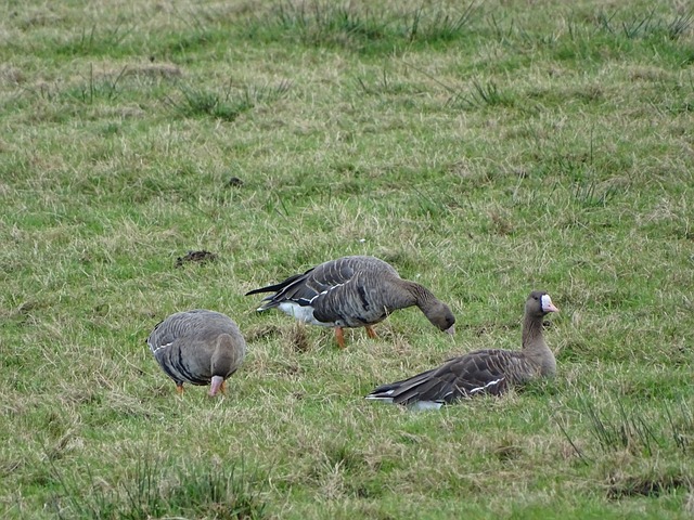 赫将在这场 赫将在这场