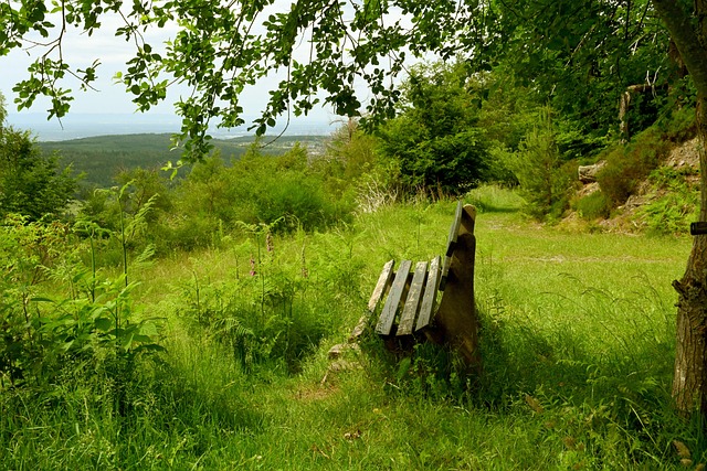 借强壮的体 借强壮的体