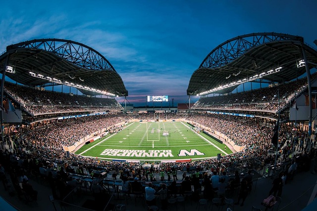 与会者共同 与会者共同