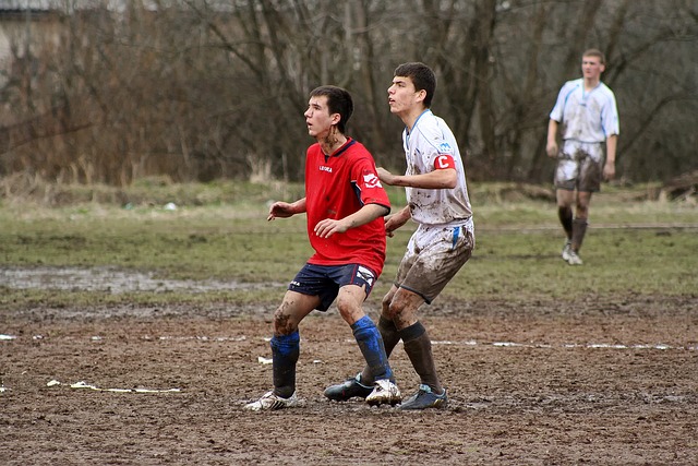 相關平台應 相關平台應