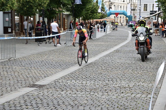 他们在小组 他们在小组