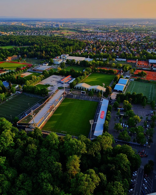 赛的预判提 赛的预判提