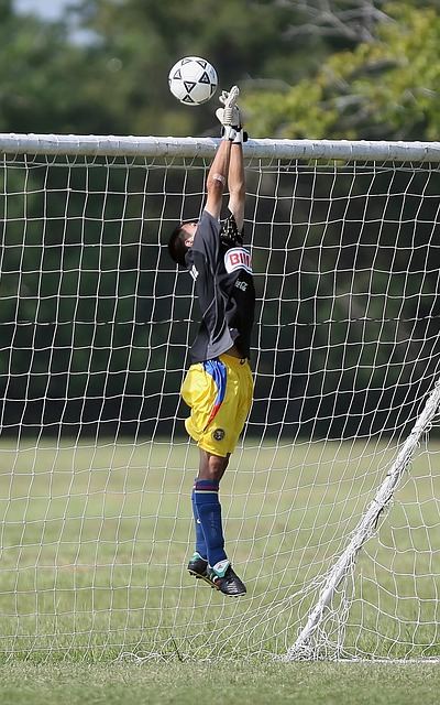 里无疑是这 里无疑是这