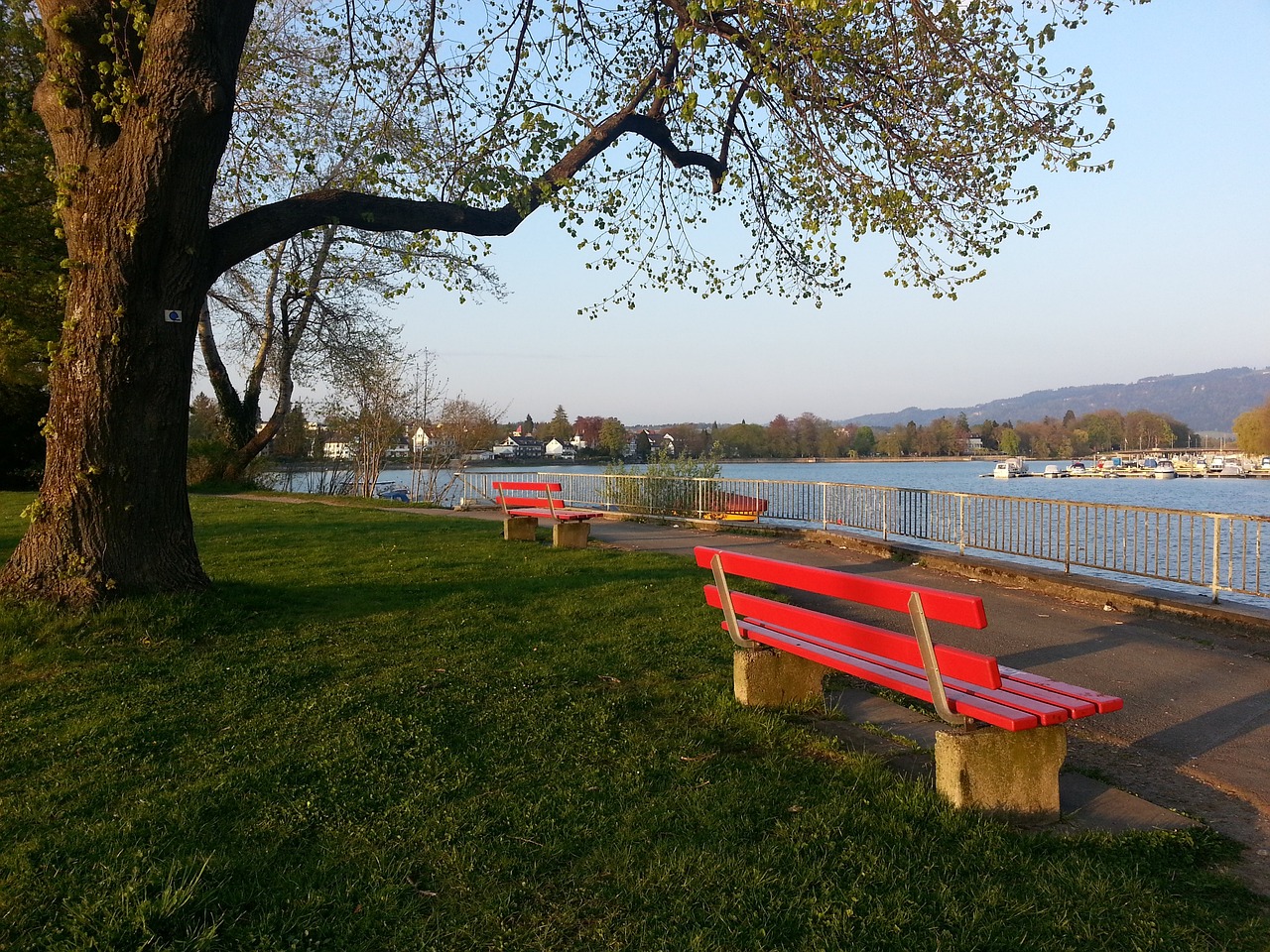 这种策略显 这种策略显